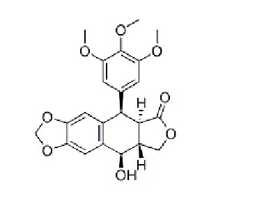 鬼臼毒素(podophyllotoxin)